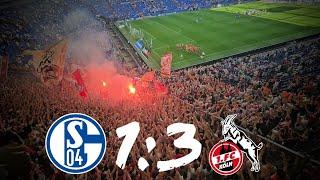 Schalke 04 - Köln 1:3 Stimmung Ultras Köln Auswärtsblock