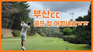 부산cc라운딩 [ kpga투어프로의라운딩 [ 숏게임의중요성 #골프라운드 #golf #kpga투어프로 #부산cc