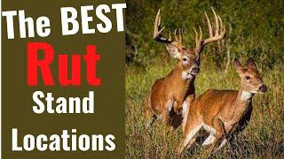 BEST Rut Habitats to See LOTS of Deer