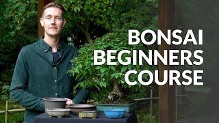 Bonsai Beginners Course