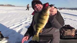 Ice Fishing BIG Perch La Crosse Wisconsin  @ExploreLaCrosseCounty