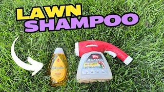 Why YOU Should SHAMPOO Your Lawn!