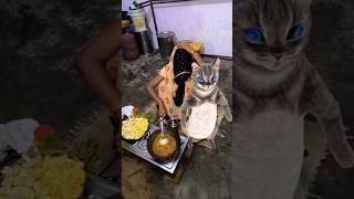 Byli  boli  Meow Meow  viral funny cute cat dance