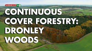 Continuous Cover Forestry - At Dronley Community Woodland