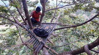 Solo Bushcraft indonesia- membuat shelter di pucuk pohon tertinggi sendirian