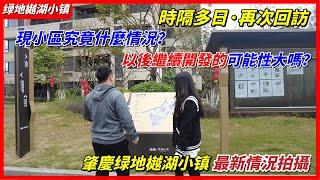 肇慶綠地樾湖小鎮最新回訪｜項目目前情況究竟如何？現場是否還有人員工作？