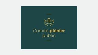 Comité plénier public du 18 juin 2024