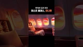 회장님도 타는 NEW 의전차 미니밴 TOP 3