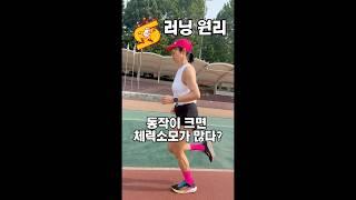 동작이 크면 체력소모가 크다? #썬코치#체력#러닝원리#러닝#탄성주법
