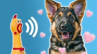  43 Sounds Dogs LOVE  and REACT To 