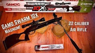 Gamo Swarm 10X Magnum Gen. 2 .22 Caliber Air Rifle!  Field review... 35, 50, and 100 yards!!!