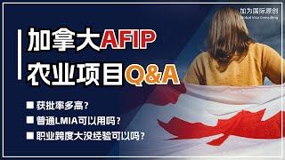 加拿大低门槛移民AFIP项目Q&A！ 完美适配大温地区陪读家长的移民项目！