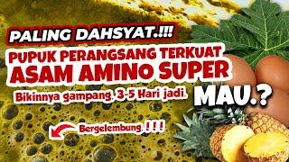 PALING DAHSYAT.!!! MEMBUAT PUPUK PERANGSANG TERKUAT ASAM AMINO SUPER | Tanaman Subur Berbuah Lebat