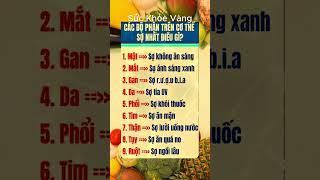 Bí Quyết Giữ Gìn Sức Khỏe Toàn Diện | Sức khỏe vàng #ChămSócSứcKhỏe #BảoVệSứcKhỏe #SốngKhỏeMỗiNgày