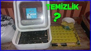 KULUÇKA MAKİNESİ NASIL TEMİZLENİR ?!?! (nasıl yapılır?)