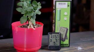 VINGNUT 2 in 1 Plant Soil Moisture Meter,Garden Soil Moisture Time Digital LCD Display Review