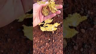 Tyler Mahoney | Prospecting for Gold | Gold hunting in Australia |  #goldrush