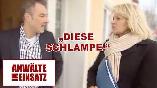 Korrupter Stadtrat! Fabio verbreitet Lügen über seine Ex-Frau! |2/2| Anwälte im Einsatz | SAT.1