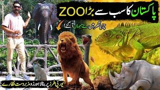 LAHORE ZOO | Explore Pakistan's Biggest Europe Style Zoo | CHAK DE PHATE