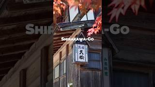 Visit this Japanese town in 2024! #shirakawago #japan