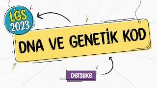 DNA ve Genetik Kod | LGS 2023