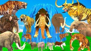 10 Mammoth Elephant Cow vs 10 Giant Tiger Bull vs Dinosaur Fight Tiger Cub Saved By Wolly Mammoth