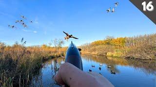 DUCK HUNTING A Hidden BEAVER POND On Public Land (Limited Out)