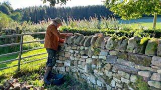 Saving a 200-Year-Old Drystone Wall - Traditional Restoration! - Country House & Homestead Life