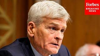 Cassidy Rails Against Steward Health Care System Management: They ‘Were Putting Patients In Danger’