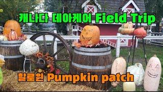 캐나다 농장에서 즐기는 Halloween. 학부모가 데이케어 pumpkin patch를 꼭 가야 하는 이유. #fieldtrip #Halloween #pumpkin #Daycare