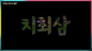 다이아 쓰레쉬??