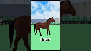 Horse valley vs actual horse - part 1! #horsevalley