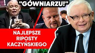 "Panie członku". Urodziny Kaczyńskiego. Najlepsze riposty prezesa PiS