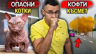 КОТКИ МУТАНТИ заливат света – Новини – Clash News еп. 38