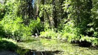 Shu Fishing Where The Fish Are - Trinity Alps 2010