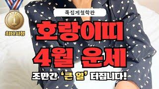 [2025년 호랑이띠 4월 운세] 조만간 ’큰 일‘ 터집니다! 금전운ㅣ애정운ㅣ건강운