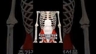 코어운동을 해도 코어가 강해지지않는 것은 왜….