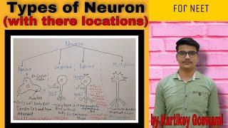 Types of neuron