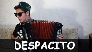 DESPACITO на БАЯНЕ