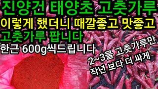 진양건 태양초 햇고춧가루 판매  이렇게 해야  때깔좋고 맛좋은 최고의 품질이 됩니다