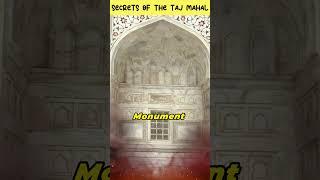 Hidden Secrets of Taj Mahal #shorts #dotfacts #tajmahal #tajmahalmystery