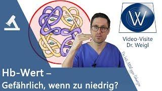 Zu wenig Hämoglobin im Blut?  Was tun beim niedrigen Hb Wert? Ursachen | Symptome | Therapie