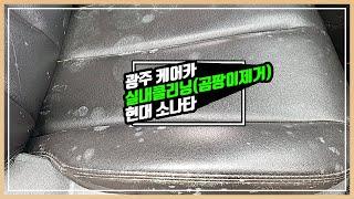 차량 내부 곰팡이 제거를 위한 실내클리닝, 광주 실내클리닝