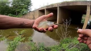 Fishing Roadside Creeks in Oklahoma