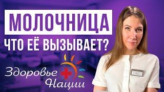 Что реально вызывает молочницу? Вся правда от акушера-гинеколога