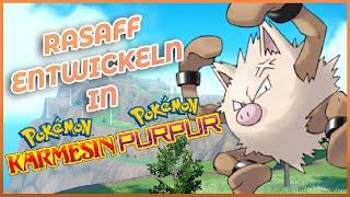 RASAFF zu EPITAFF entwickeln in Pokémon Karmesin und Purpur: So geht's!