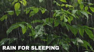 Tropical Rainforest Ambience Nature Sounds For Sleep 24 Hours, Rain On Leaves And Cozy Treehouse