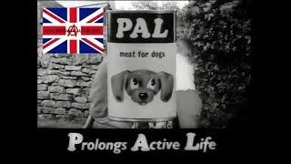 PAL Dog Food Advert 1962