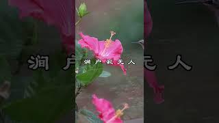 中文古典诗词：《辛夷坞》[唐]王维