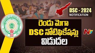 AP: Mega DSC To Be Released on June 30 | CM Chandrababu | Ntv